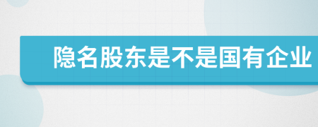 隱名股東是不是國有企業(yè)