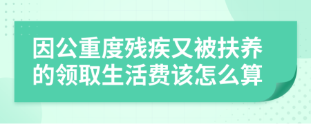 因公重度殘疾又被扶養(yǎng)的領(lǐng)取生活費該怎么算