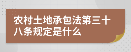 農(nóng)村土地承包法第三十八條規(guī)定是什么