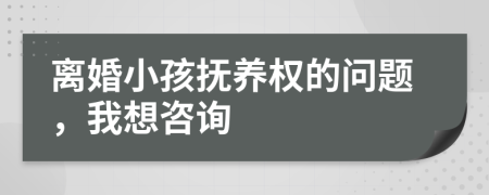 離婚小孩撫養(yǎng)權(quán)的問題，我想咨詢