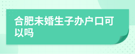 合肥未婚生子辦戶口可以嗎