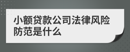 小額貸款公司法律風(fēng)險(xiǎn)防范是什么