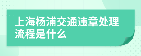 上海楊浦交通違章處理流程是什么