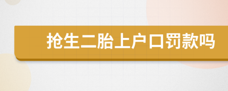 搶生二胎上戶口罰款嗎