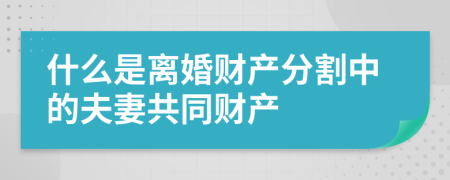 什么是離婚財產(chǎn)分割中的夫妻共同財產(chǎn)