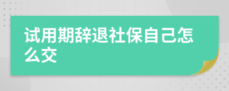 試用期辭退社保自己怎么交