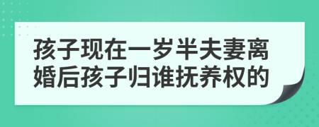孩子現(xiàn)在一歲半夫妻離婚后孩子歸誰(shuí)撫養(yǎng)權(quán)的