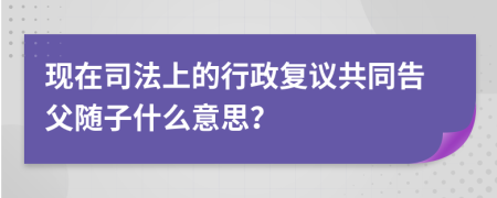現(xiàn)在司法上的行政復(fù)議共同告父隨子什么意思？