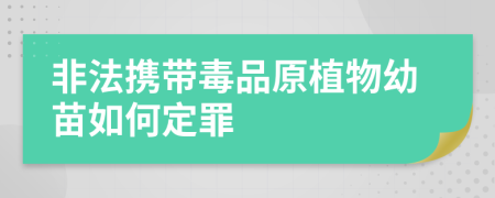 非法攜帶毒品原植物幼苗如何定罪