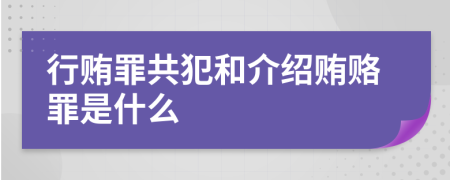 行賄罪共犯和介紹賄賂罪是什么