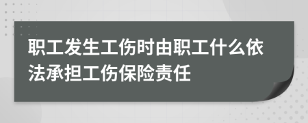 職工發(fā)生工傷時(shí)由職工什么依法承擔(dān)工傷保險(xiǎn)責(zé)任