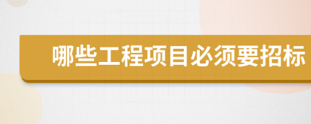 哪些工程項(xiàng)目必須要招標(biāo)