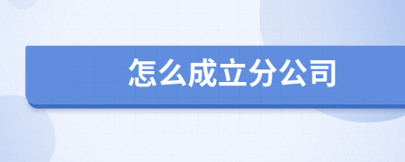 怎么成立分公司