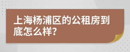 上海楊浦區(qū)的公租房到底怎么樣？
