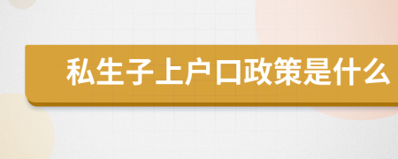 私生子上戶口政策是什么