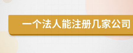 一個法人能注冊幾家公司
