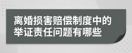 離婚損害賠償制度中的舉證責(zé)任問題有哪些