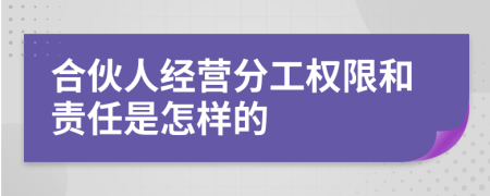 合伙人經(jīng)營(yíng)分工權(quán)限和責(zé)任是怎樣的