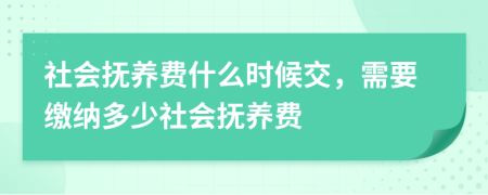 社會(huì)撫養(yǎng)費(fèi)什么時(shí)候交，需要繳納多少社會(huì)撫養(yǎng)費(fèi)