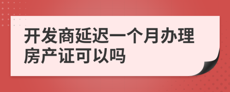 開(kāi)發(fā)商延遲一個(gè)月辦理房產(chǎn)證可以嗎