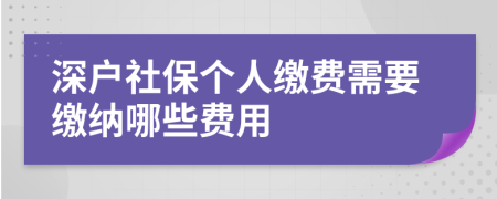 深戶社保個(gè)人繳費(fèi)需要繳納哪些費(fèi)用