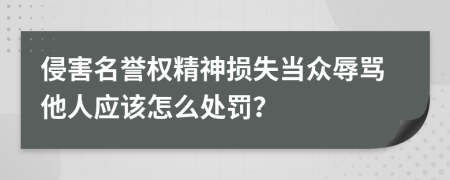 侵害名譽(yù)權(quán)精神損失當(dāng)眾辱罵他人應(yīng)該怎么處罰？