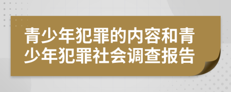 青少年犯罪的內(nèi)容和青少年犯罪社會(huì)調(diào)查報(bào)告