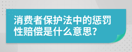 消費者保護法中的懲罰性賠償是什么意思？