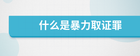 什么是暴力取證罪
