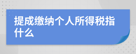 提成繳納個人所得稅指什么