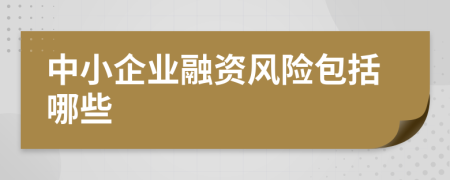 中小企業(yè)融資風(fēng)險(xiǎn)包括哪些