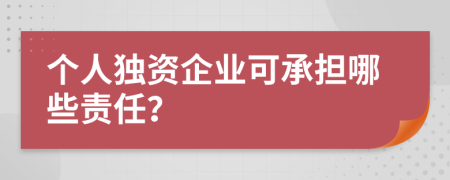 個(gè)人獨(dú)資企業(yè)可承擔(dān)哪些責(zé)任？