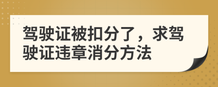 駕駛證被扣分了，求駕駛證違章消分方法