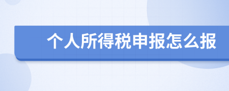 個(gè)人所得稅申報(bào)怎么報(bào)