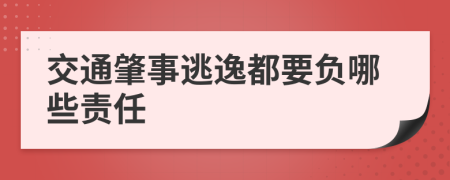 交通肇事逃逸都要負(fù)哪些責(zé)任