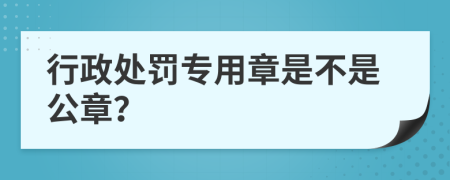 行政處罰專用章是不是公章？