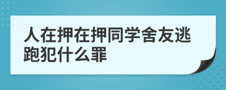 人在押在押同學(xué)舍友逃跑犯什么罪