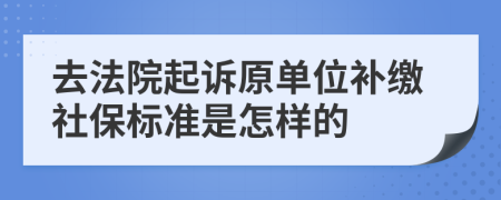 去法院起訴原單位補(bǔ)繳社保標(biāo)準(zhǔn)是怎樣的