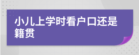 小兒上學(xué)時(shí)看戶口還是籍貫