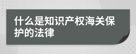 什么是知識(shí)產(chǎn)權(quán)海關(guān)保護(hù)的法律