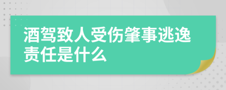 酒駕致人受傷肇事逃逸責(zé)任是什么