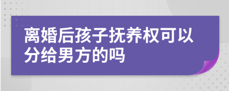 離婚后孩子撫養(yǎng)權(quán)可以分給男方的嗎