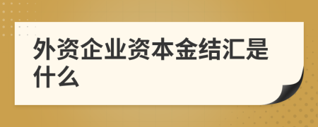 外資企業(yè)資本金結(jié)匯是什么