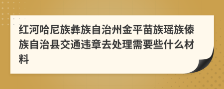紅河哈尼族彝族自治州金平苗族瑤族傣族自治縣交通違章去處理需要些什么材料