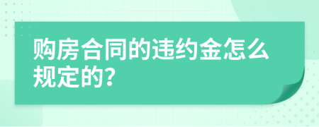 購房合同的違約金怎么規(guī)定的？