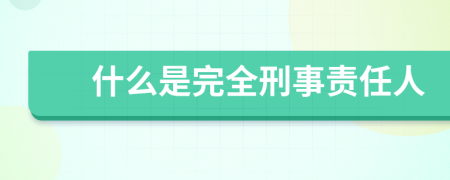 什么是完全刑事責任人