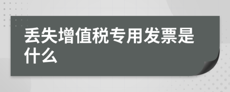 丟失增值稅專用發(fā)票是什么