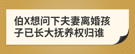 伯X想問下夫妻離婚孩子已長大撫養(yǎng)權歸誰