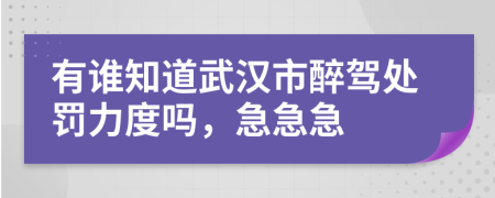 有誰(shuí)知道武漢市醉駕處罰力度嗎，急急急