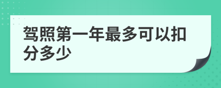 駕照第一年最多可以扣分多少